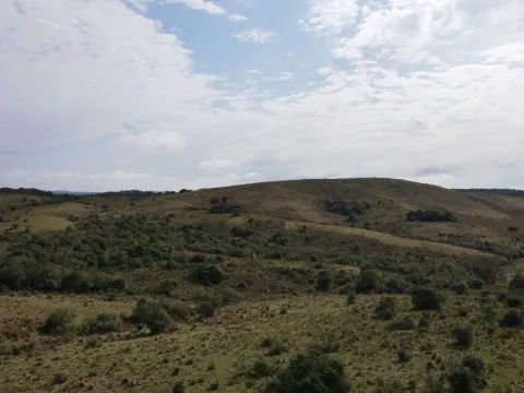 Campo en Rocha 78ha