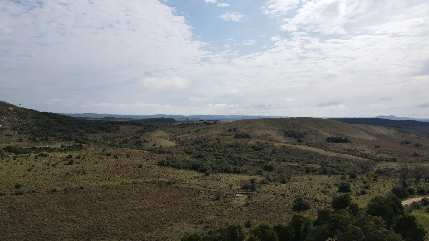 Campo en Rocha 78ha — foto 2