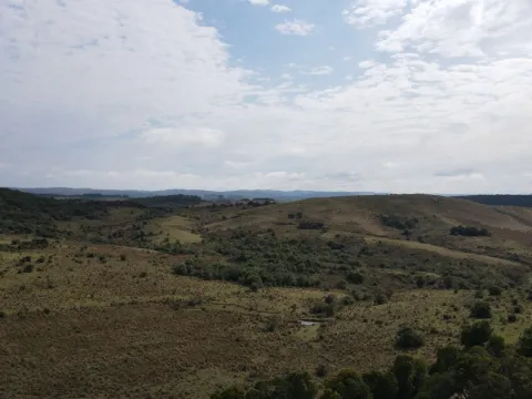 Campo en Rocha 78ha — foto 2