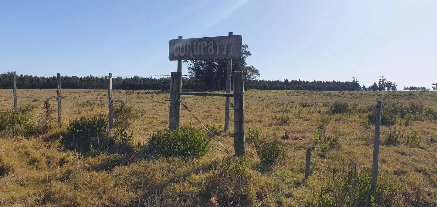 EXCELENTE CHACRA DE 15 HAS EN RUTA 10 KM 198 — foto 4
