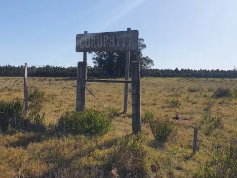 EXCELENTE CHACRA DE 15 HAS EN RUTA 10 KM 198 — foto 4