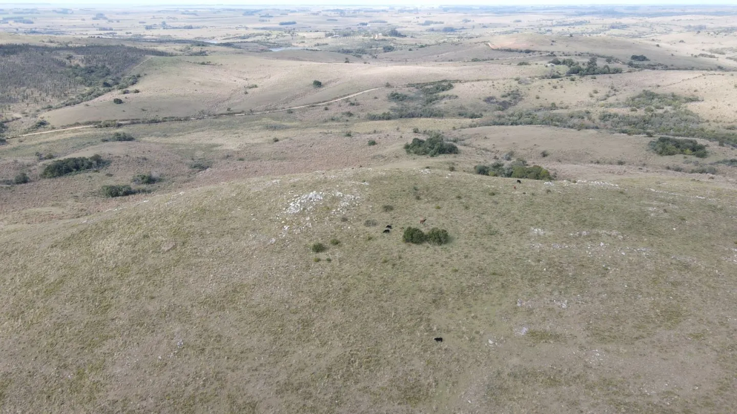 Campo en Rocha 78ha — foto 3