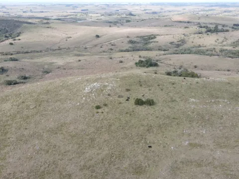 Campo en Rocha 78ha — foto 3