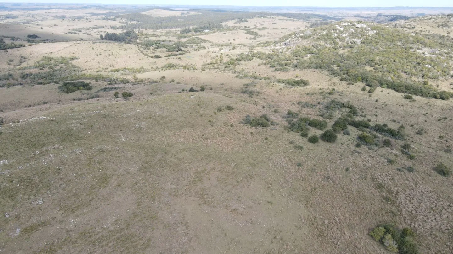 Campo en Rocha 78ha — foto 4