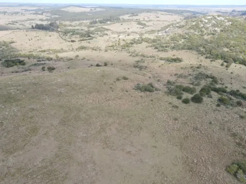 Campo en Rocha 78ha — foto 4