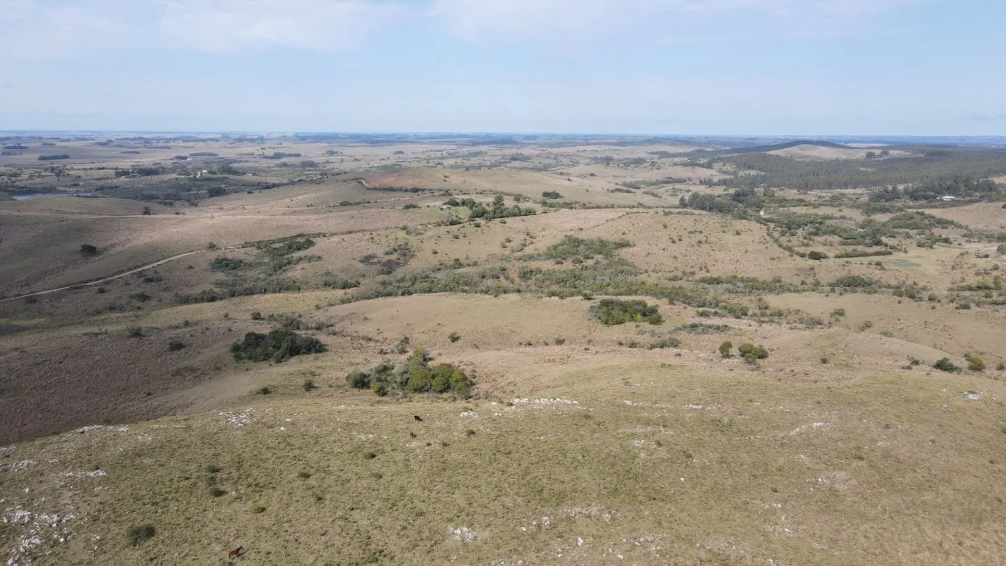 Campo en Rocha 78ha — foto 6