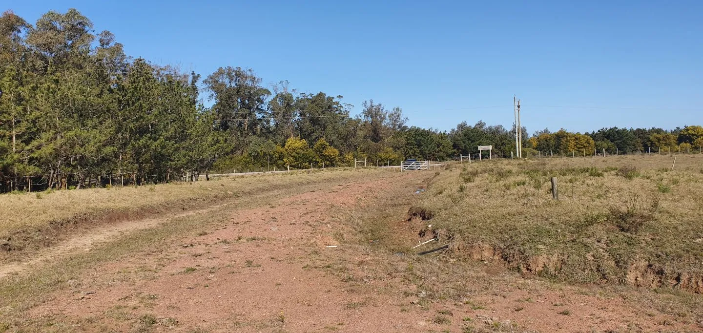 EXCELENTE CHACRA DE 15 HAS EN RUTA 10 KM 198 — foto 8