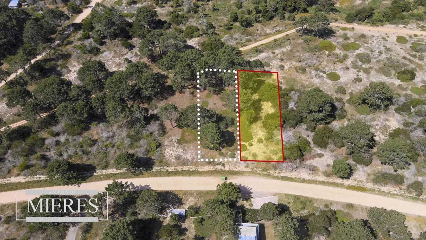 lote en  Arenas de Jose ignacio — foto 3