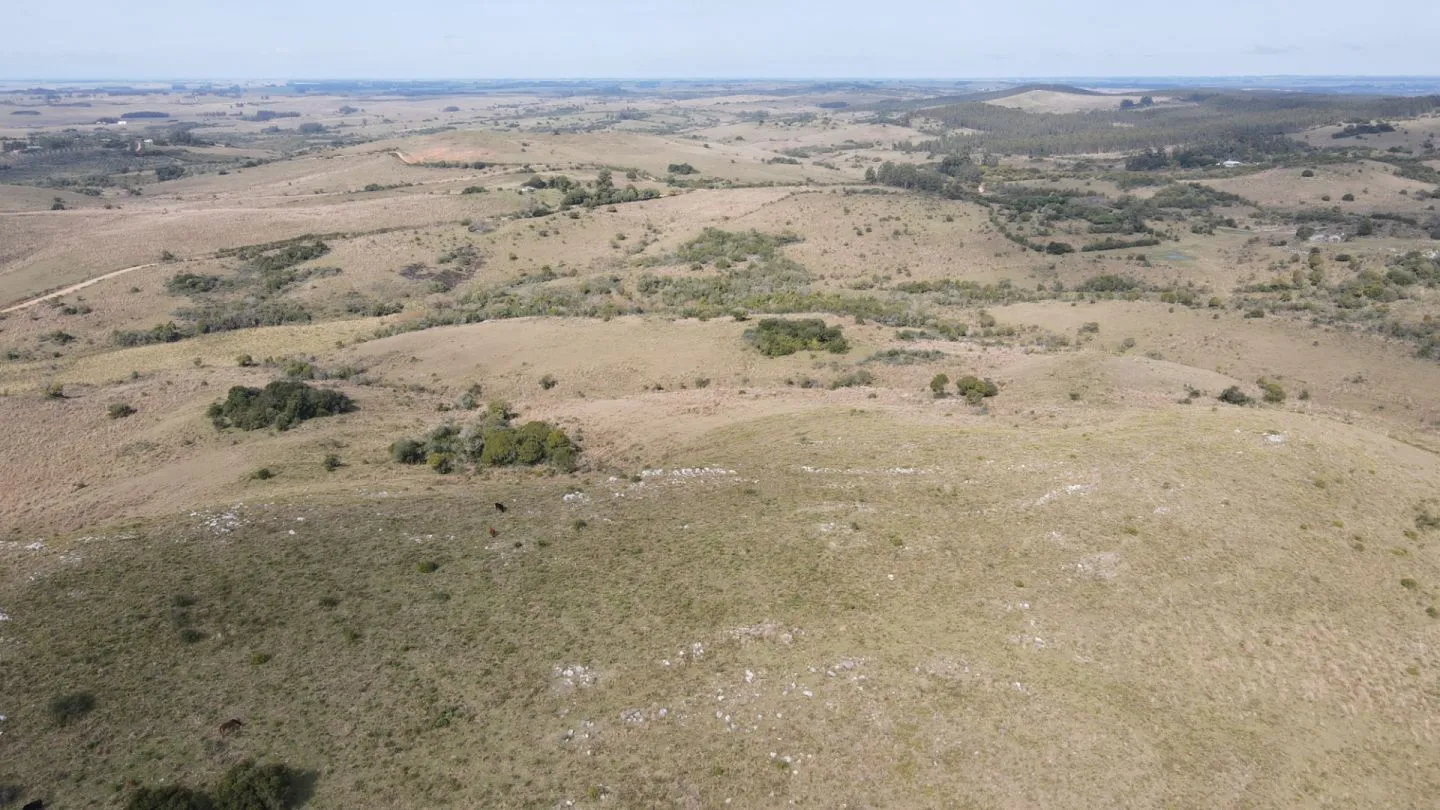 Campo en Rocha 78ha — foto 8