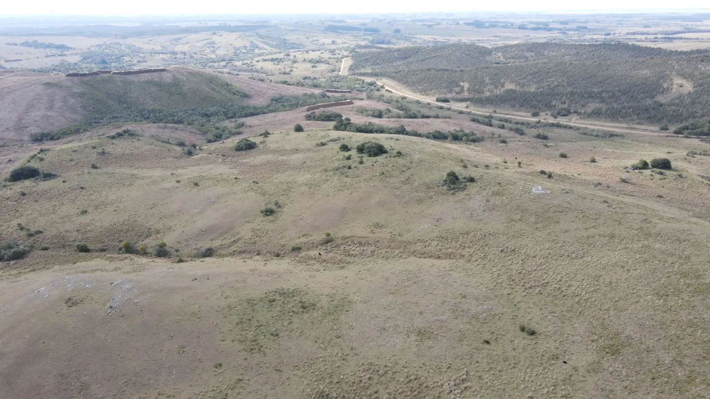 Campo en Rocha 78ha — foto 9