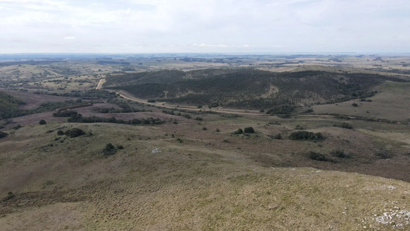 Campo en Rocha 78ha — foto 10