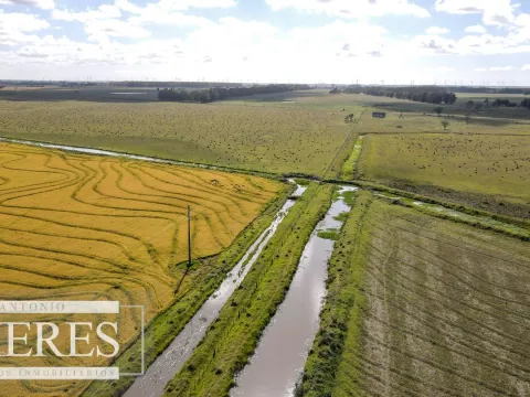 Campo agrícola ganadero  de 1500ha Rocha — foto 3