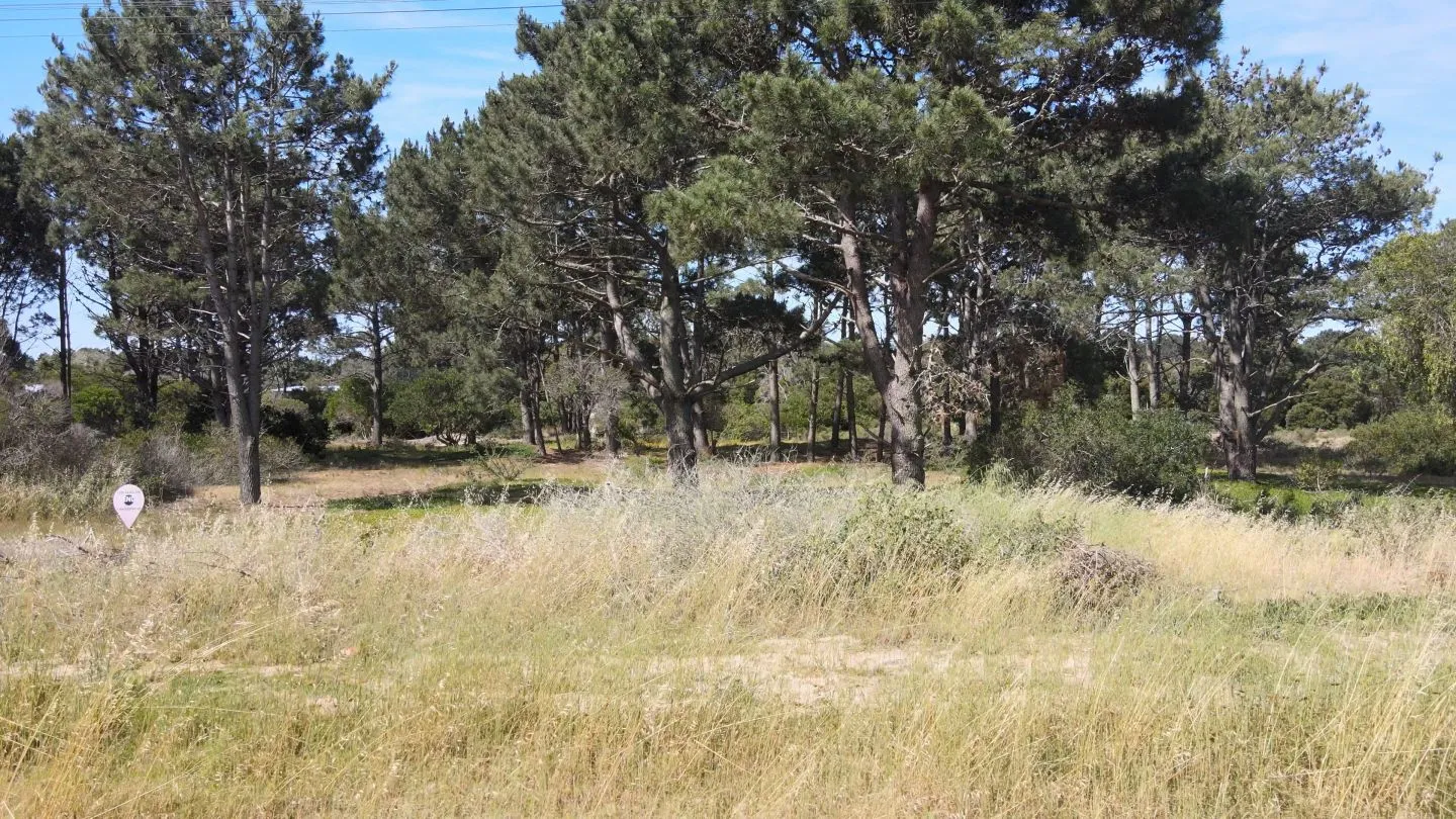 lote en  Arenas de Jose ignacio — foto 6