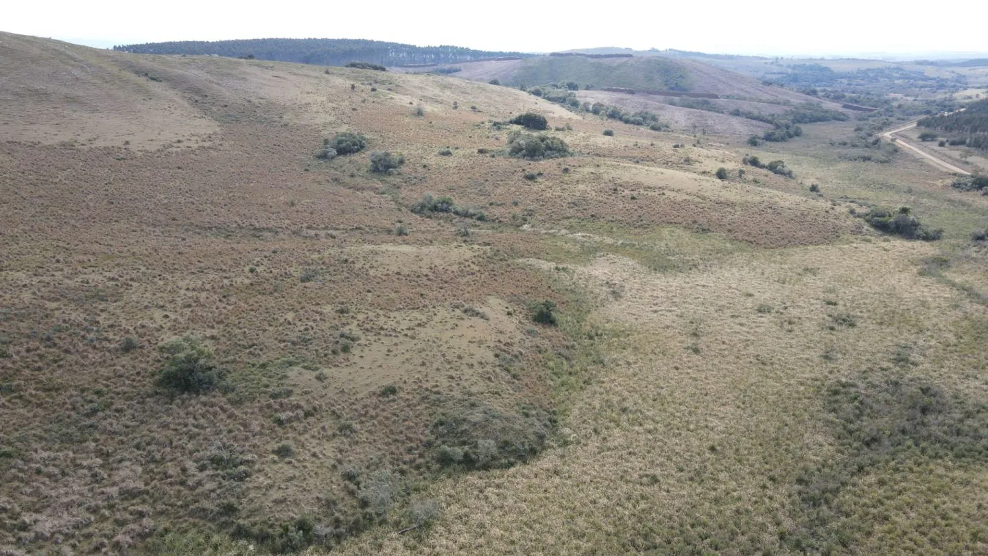 Campo en Rocha 78ha — foto 11
