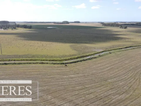 Campo agrícola ganadero  de 1500ha Rocha — foto 4