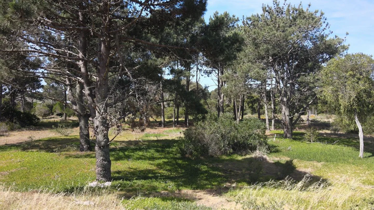 lote en  Arenas de Jose ignacio — foto 7