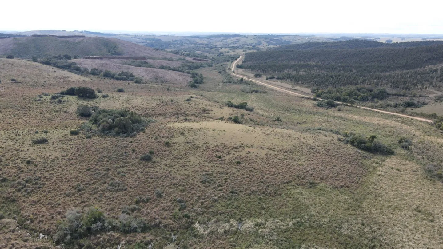 Campo en Rocha 78ha — foto 12