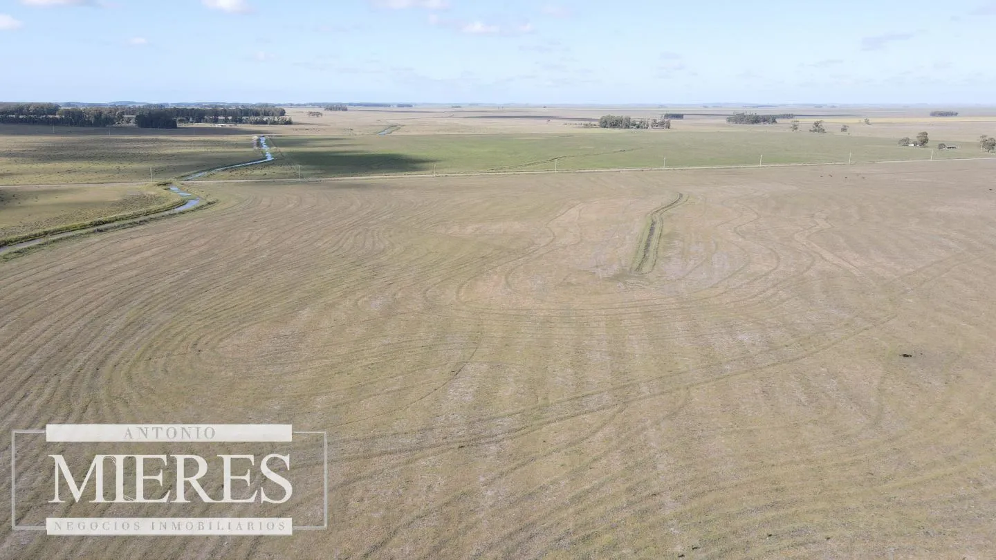 Campo agrícola ganadero  de 1500ha Rocha — foto 5
