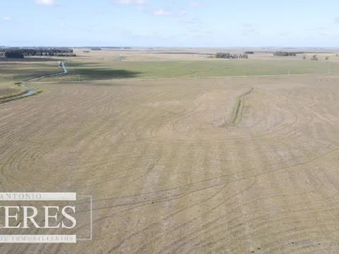 Campo agrícola ganadero  de 1500ha Rocha — foto 5