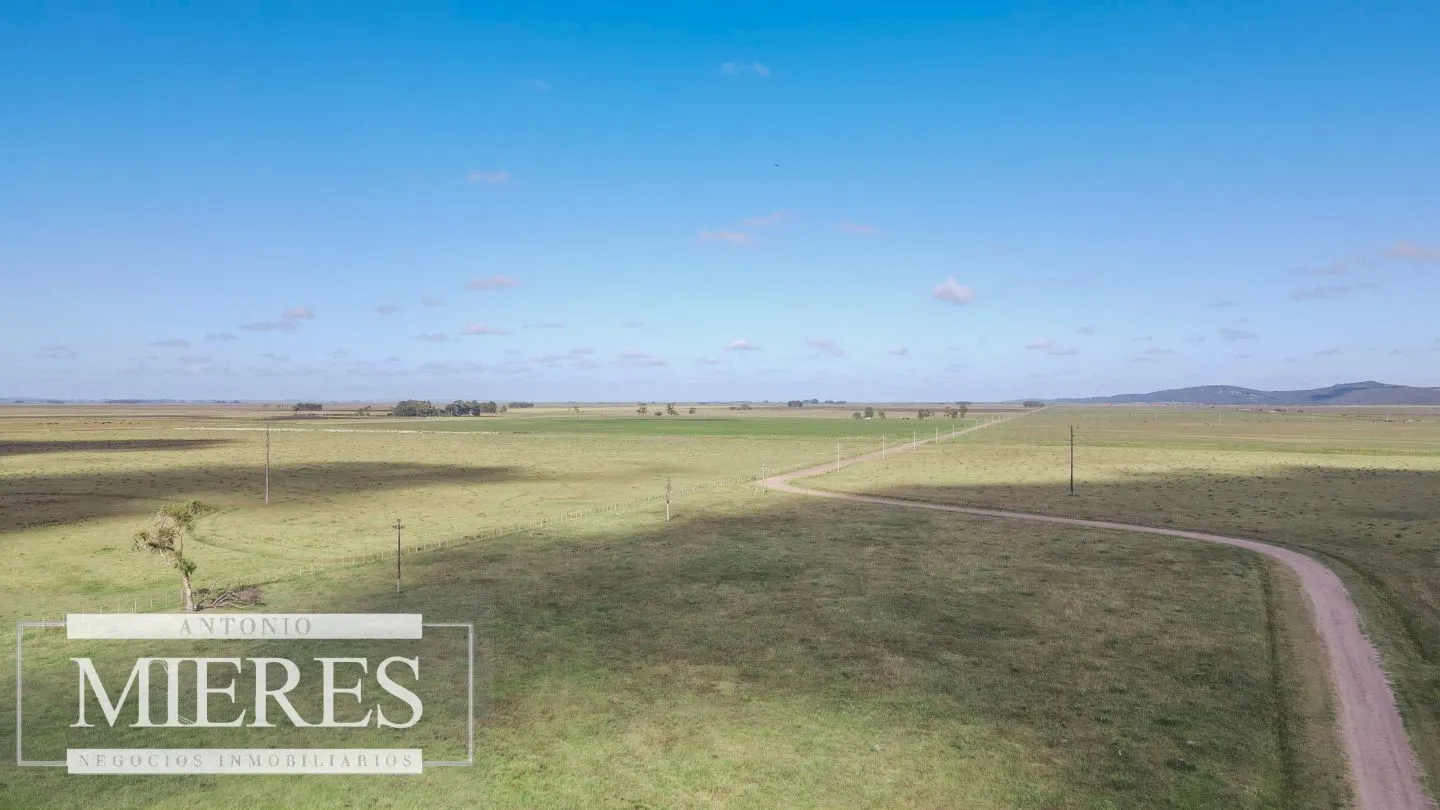 Campo agrícola ganadero  de 1500ha Rocha — foto 6