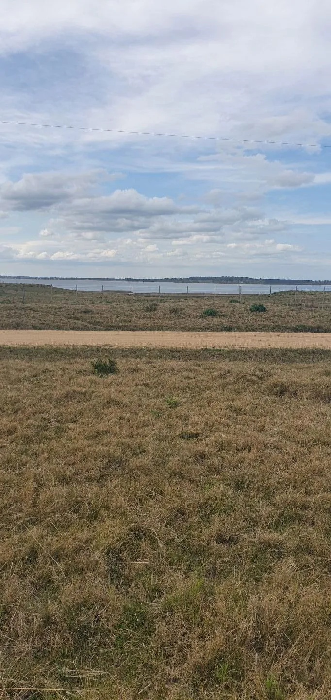 CHACRA EN VENTA EN LA RINCONADA, LAGUNA GARZON — foto 2