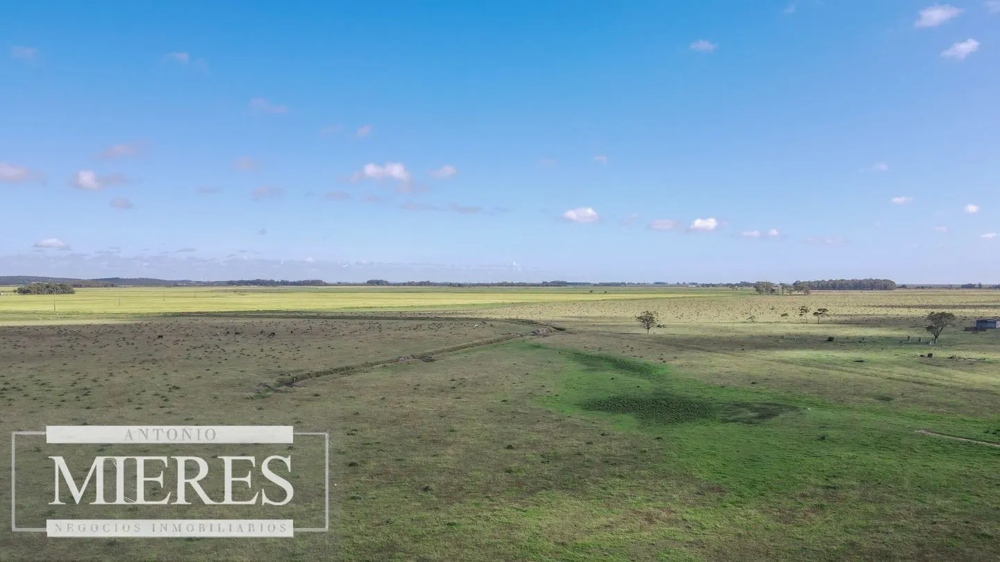 Campo agrícola ganadero  de 1500ha Rocha — foto 7