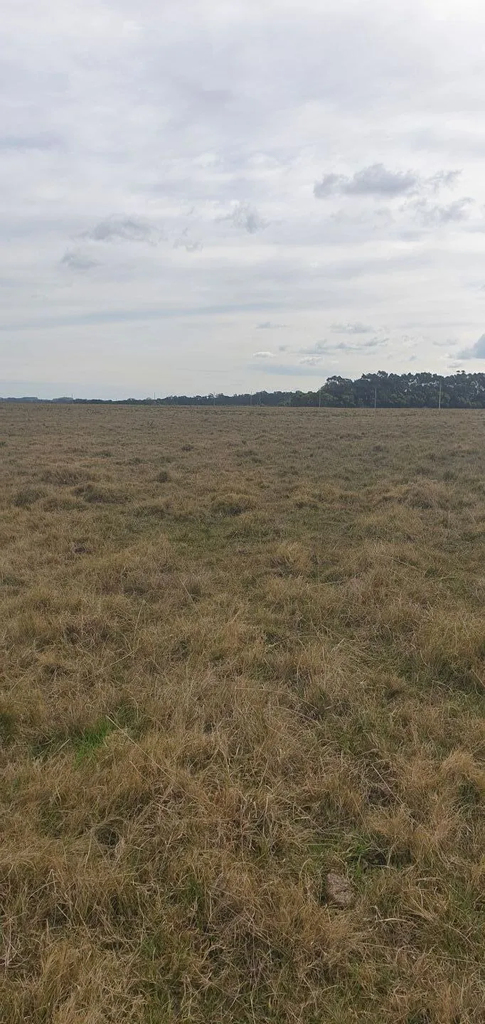 CHACRA EN VENTA EN LA RINCONADA, LAGUNA GARZON — foto 3