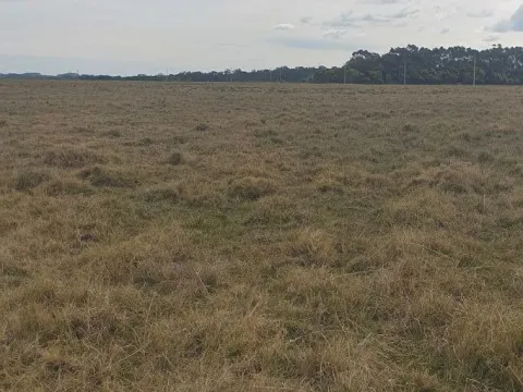 CHACRA EN VENTA EN LA RINCONADA, LAGUNA GARZON — foto 3
