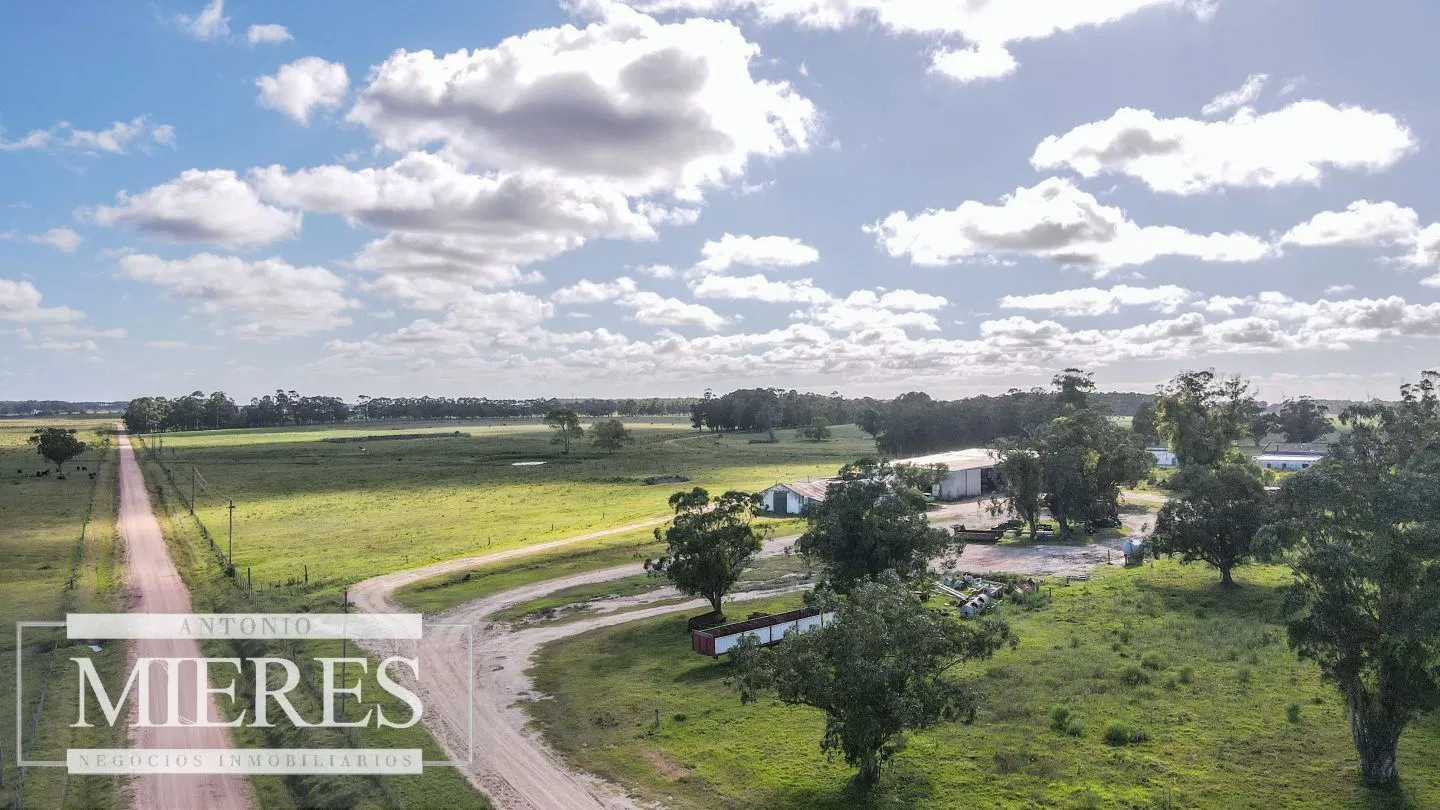 Campo agrícola ganadero  de 1500ha Rocha — foto 8