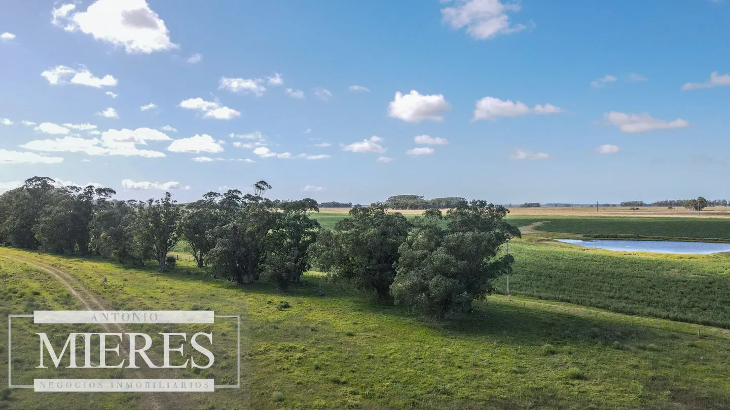 Campo agrícola ganadero  de 1500ha Rocha — foto 9