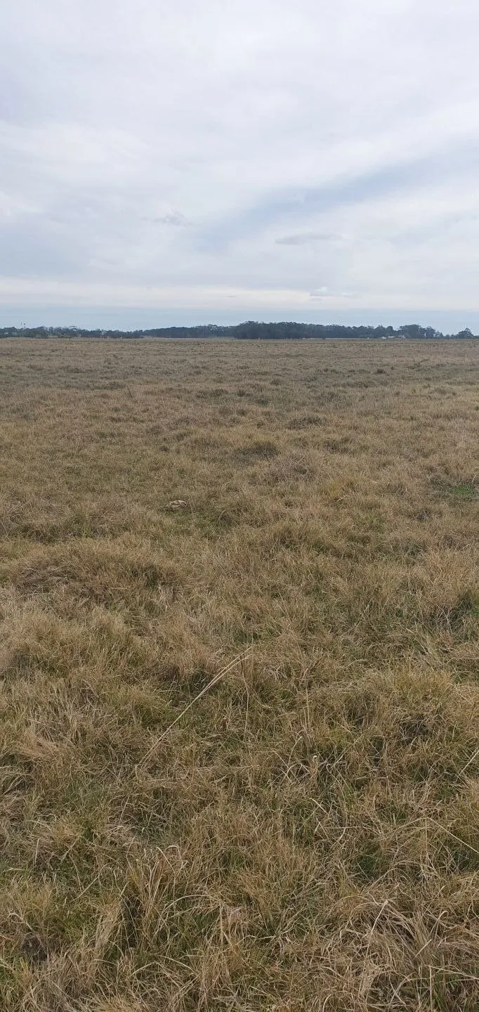 CHACRA EN VENTA EN LA RINCONADA, LAGUNA GARZON — foto 4