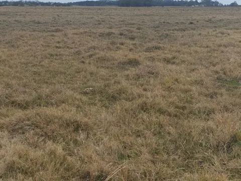 CHACRA EN VENTA EN LA RINCONADA, LAGUNA GARZON — foto 4