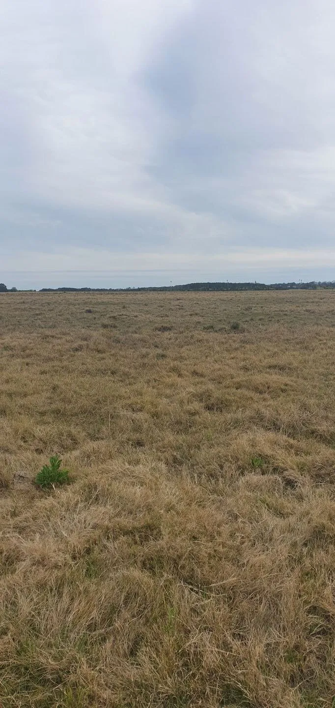 CHACRA EN VENTA EN LA RINCONADA, LAGUNA GARZON — foto 5