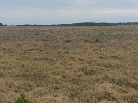 CHACRA EN VENTA EN LA RINCONADA, LAGUNA GARZON — foto 5