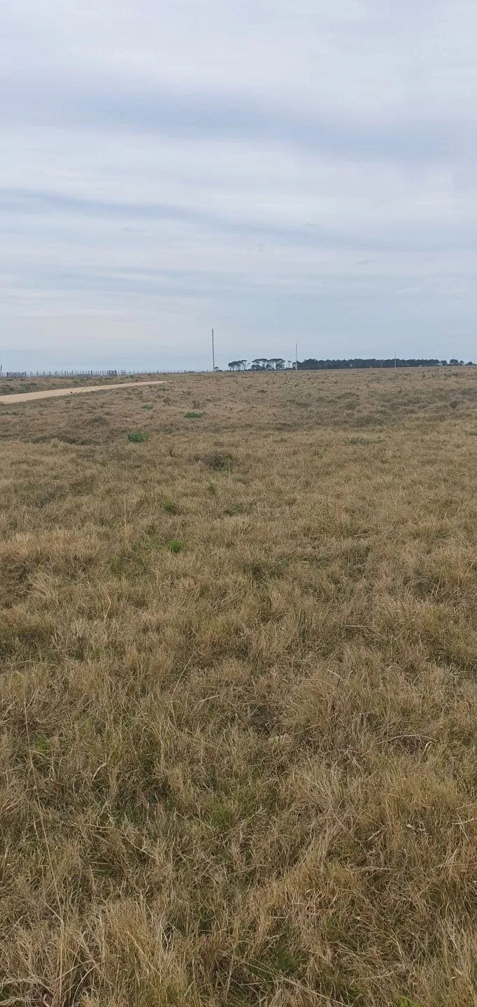 CHACRA EN VENTA EN LA RINCONADA, LAGUNA GARZON — foto 7