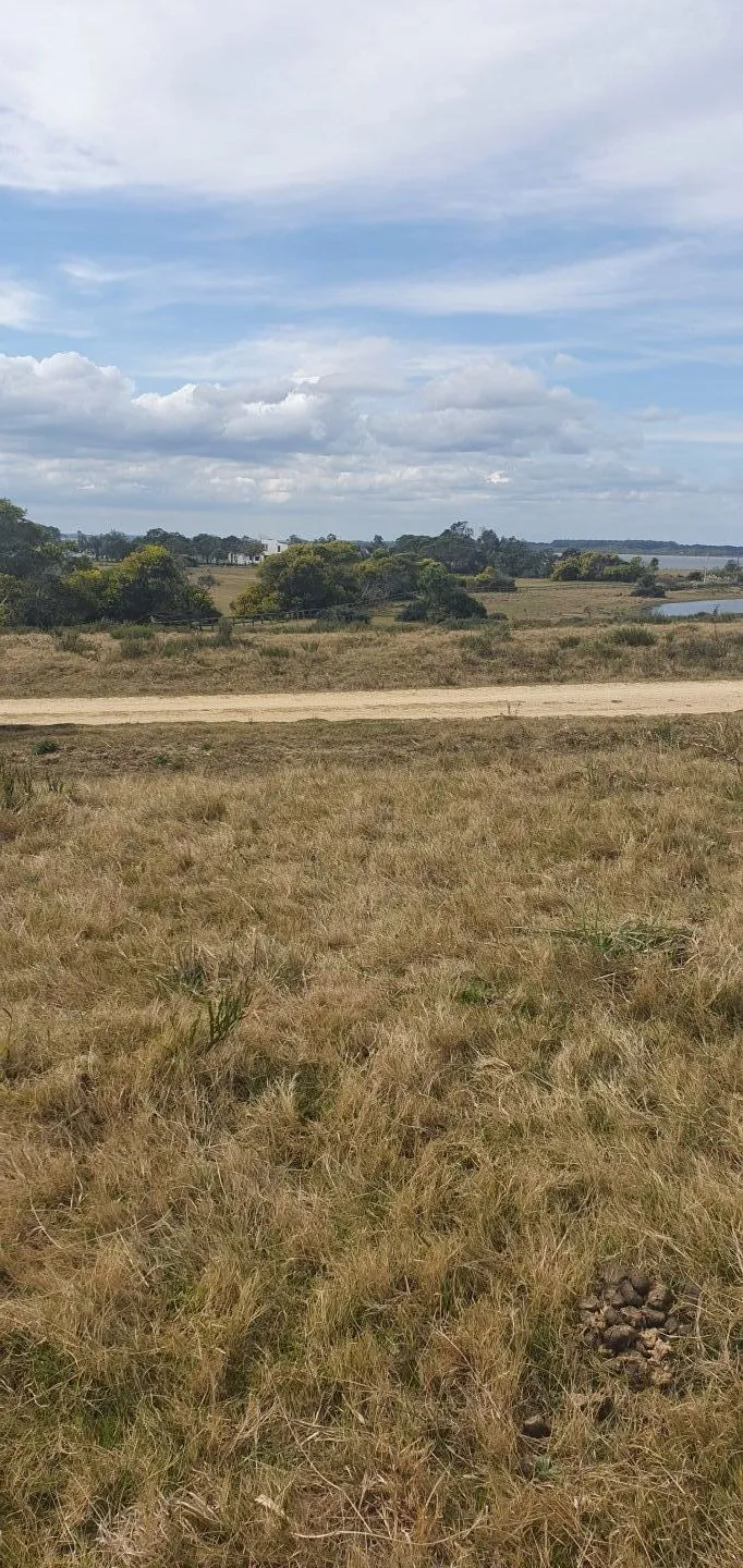 CHACRA EN VENTA EN LA RINCONADA, LAGUNA GARZON — foto 10