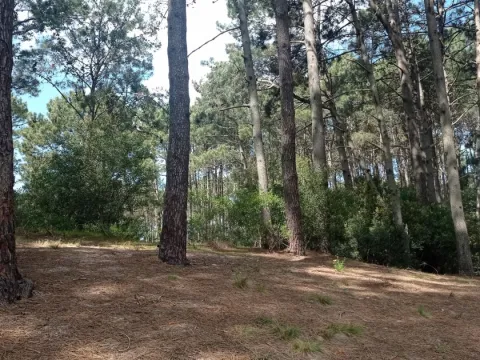 Venta lotes sobre Arroyo El Potrero- Chihuahua — foto 3