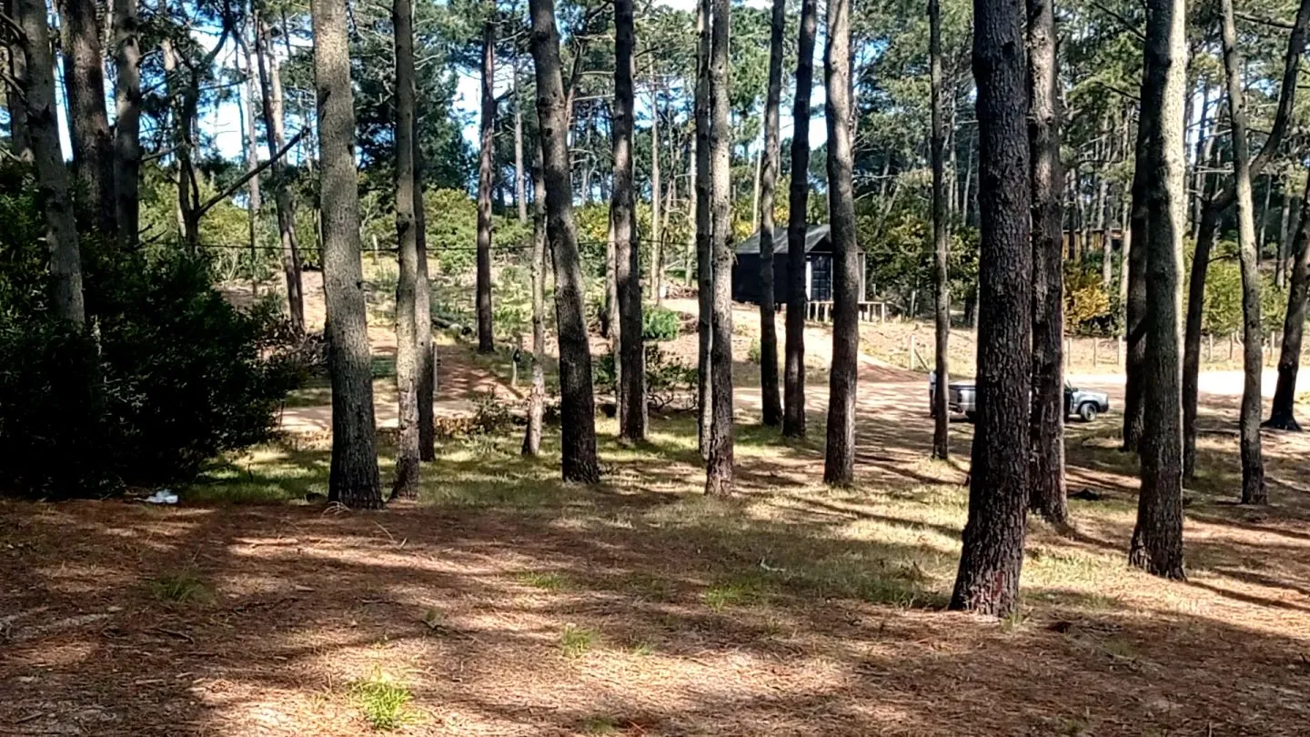 Venta lotes sobre Arroyo El Potrero- Chihuahua — foto 4