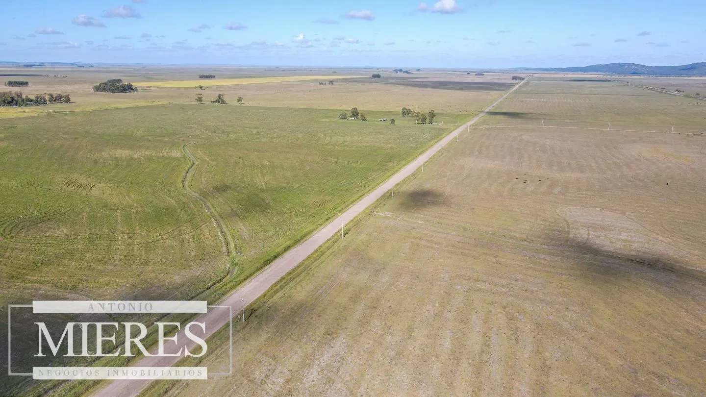 Campo agrícola ganadero  de 1500ha Rocha — foto 20