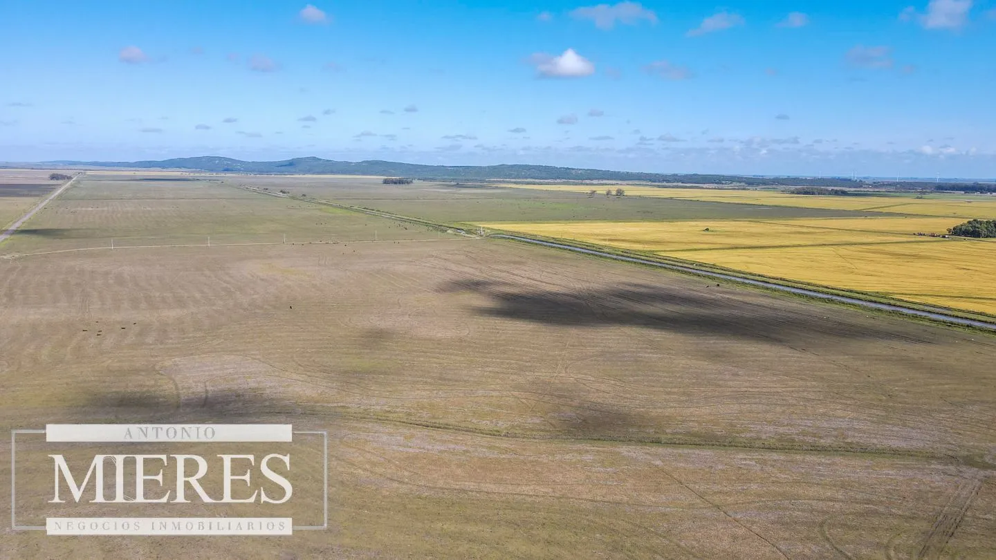 Campo agrícola ganadero  de 1500ha Rocha — foto 21