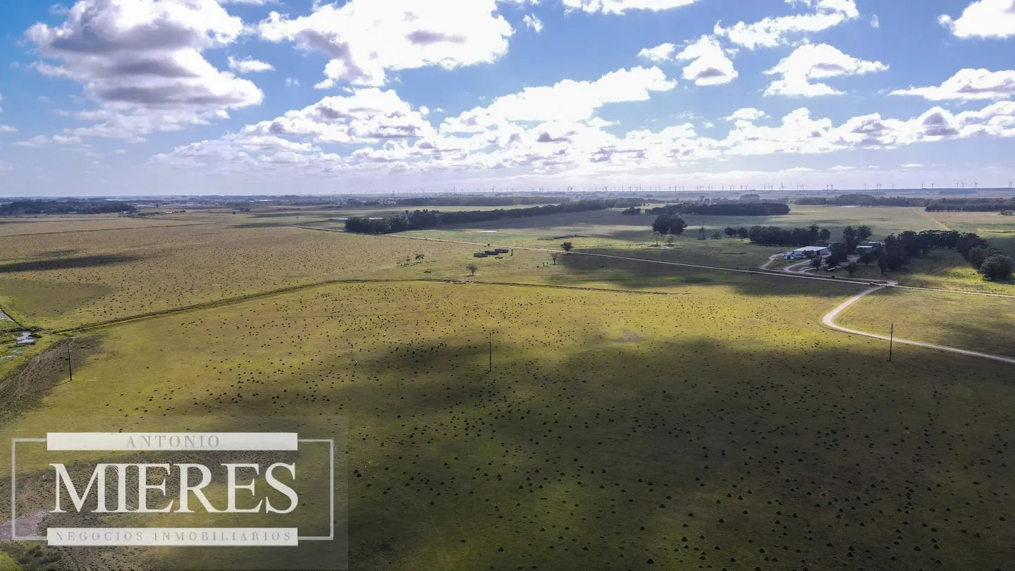 Campo agrícola ganadero  de 1500ha Rocha — foto 24