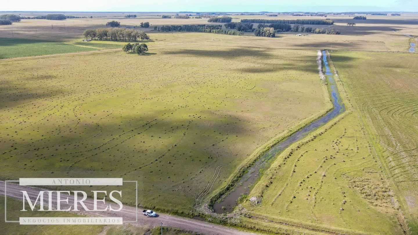 Campo agrícola ganadero  de 1500ha Rocha — foto 25