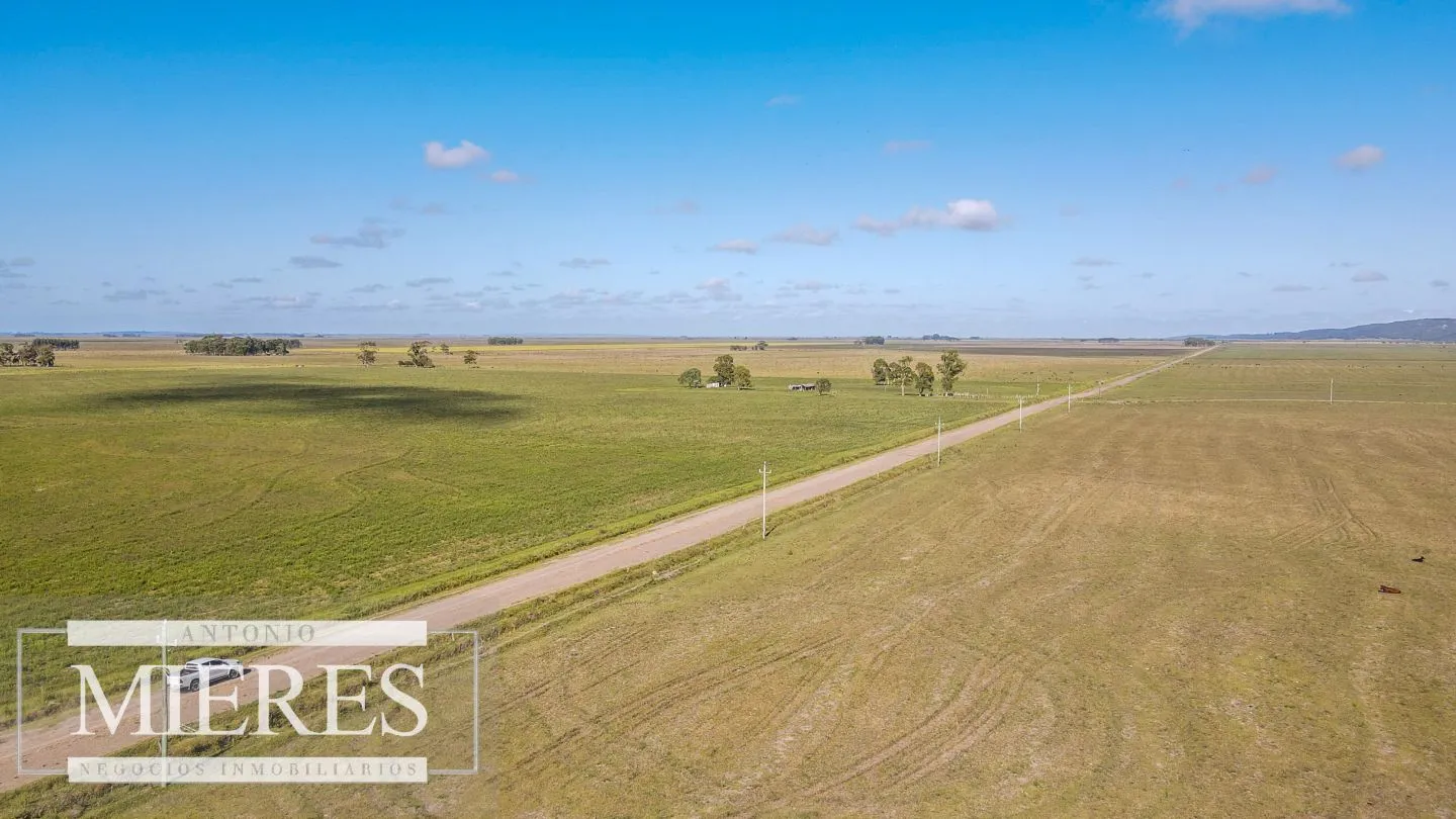 Campo agrícola ganadero  de 1500ha Rocha — foto 26