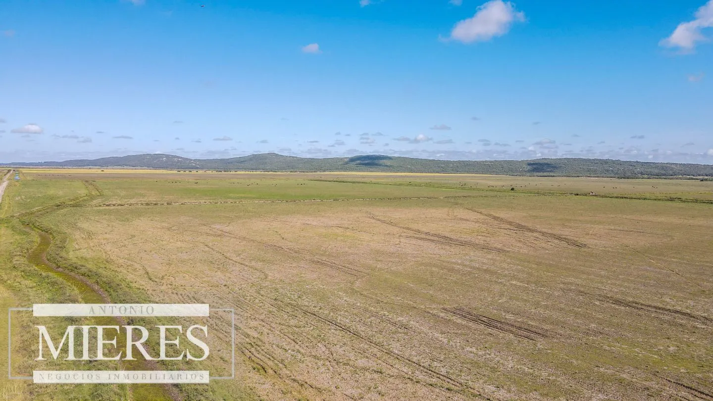 Campo agrícola ganadero  de 1500ha Rocha — foto 27