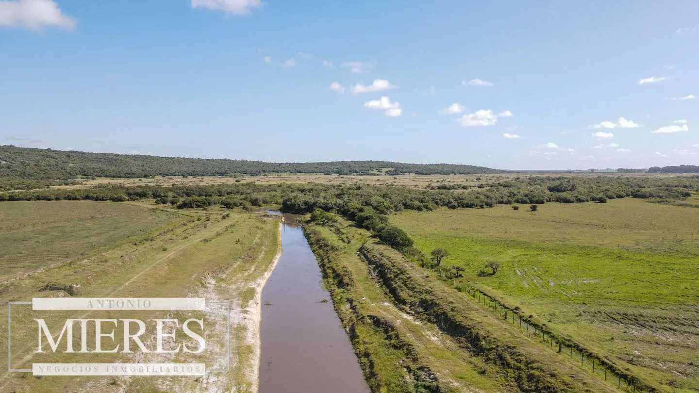 Campo agrícola ganadero  de 1500ha Rocha — foto 28