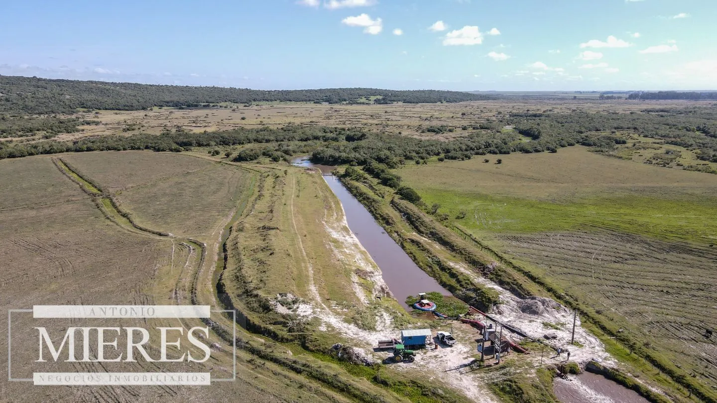 Campo agrícola ganadero  de 1500ha Rocha — foto 30