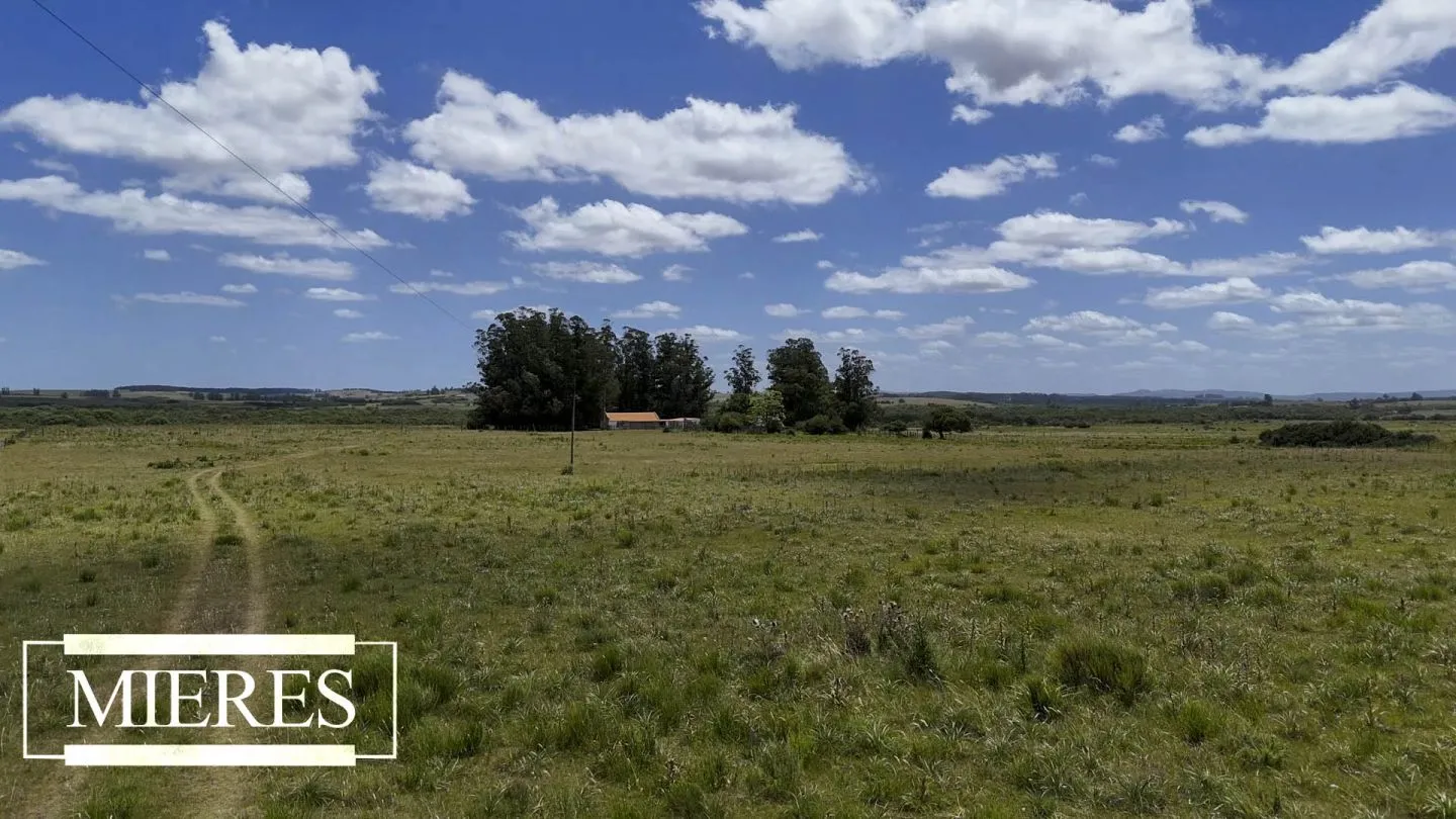 Campo en Garzon 19has — foto 2