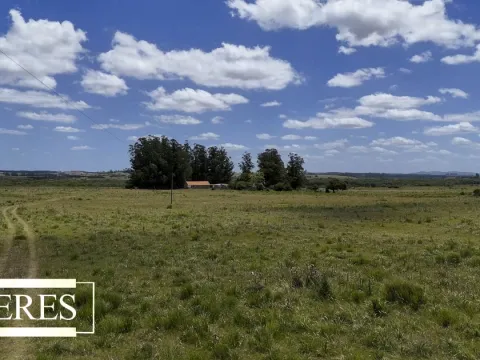 Campo en Garzon 19has — foto 2
