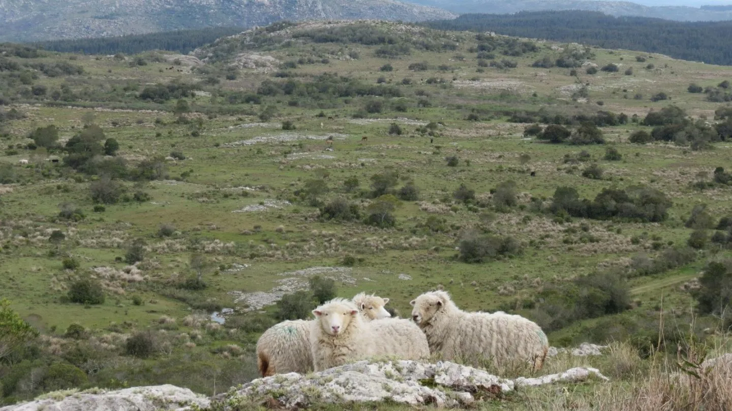 Chacra en sierras del Catedral 10ha — foto 1