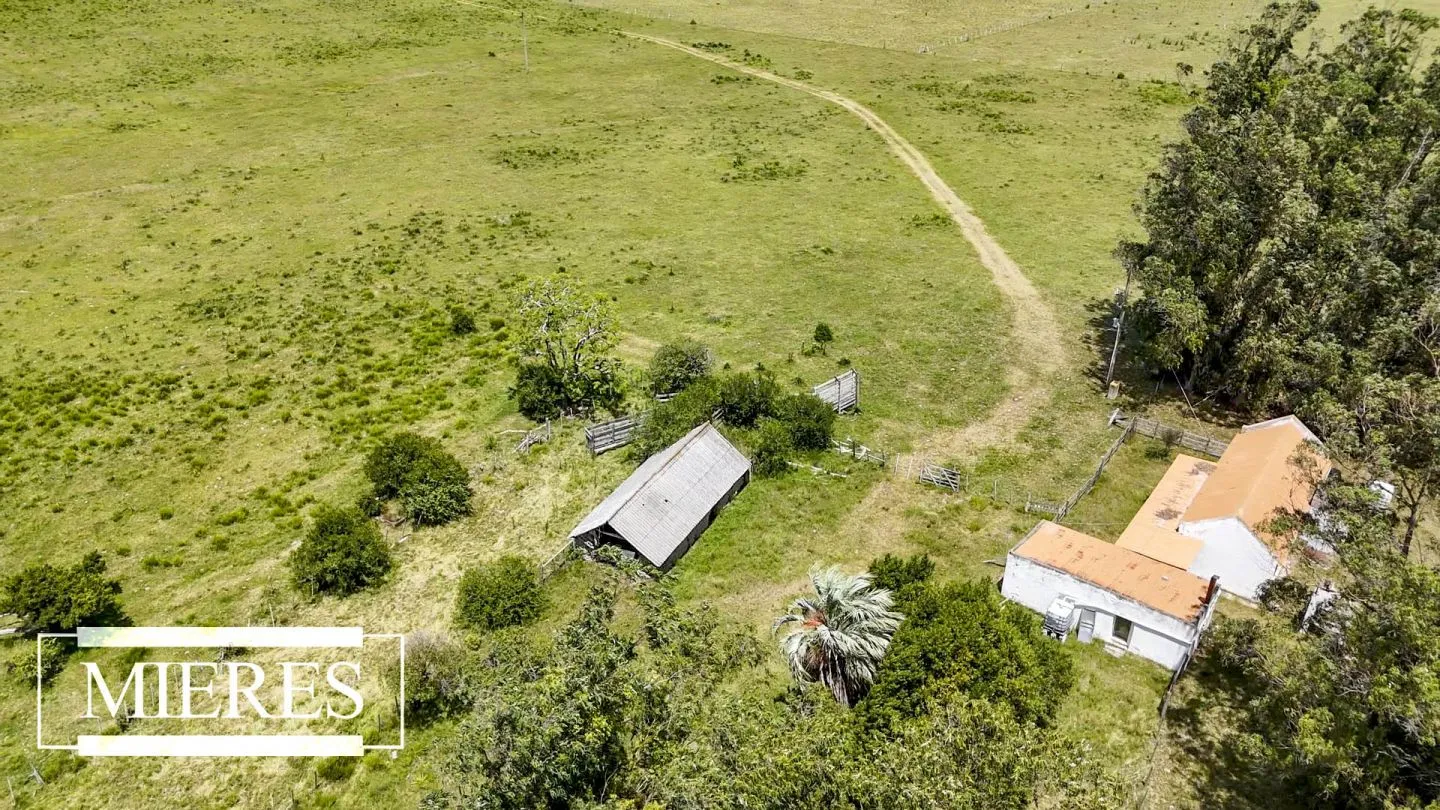 Campo en Garzon 19has — foto 4